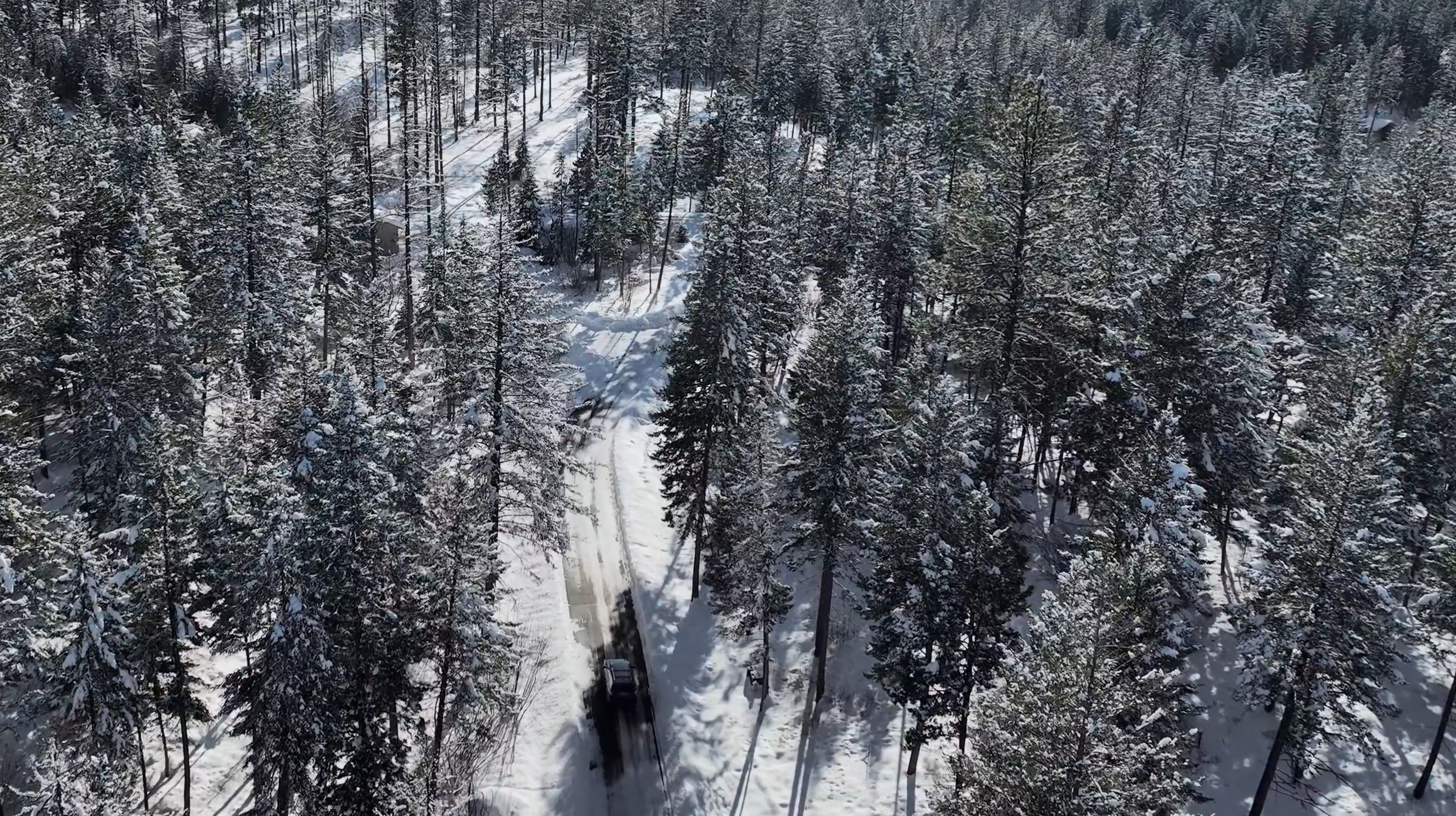 Winter in Bigfork and Northwest Montana